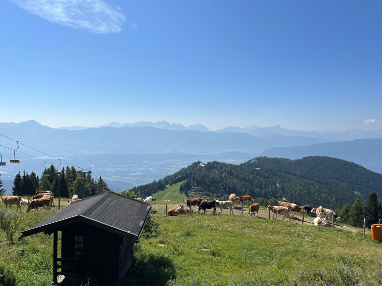 Hiking Trail around Gertlitzen Mountain